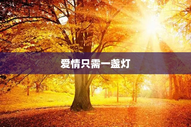 爱情只需一盏灯