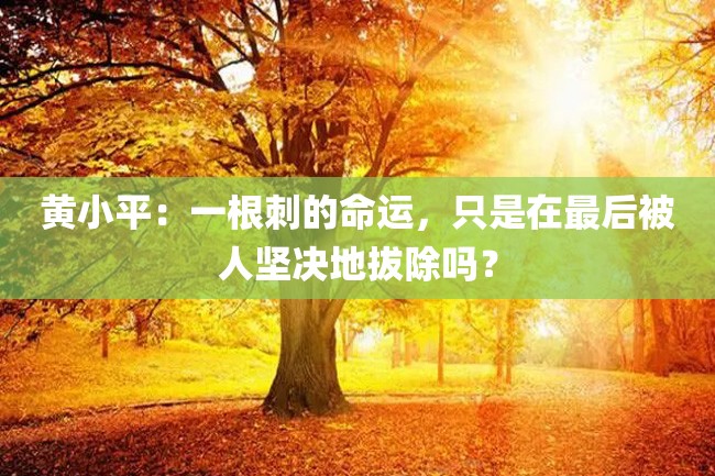 黄小平:一根刺的命运,只是在最后被人坚决地拔除吗?