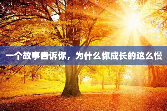 一个故事告诉你,为什么你成长的这么慢