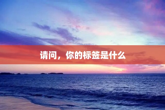 请问,你的标签是什么