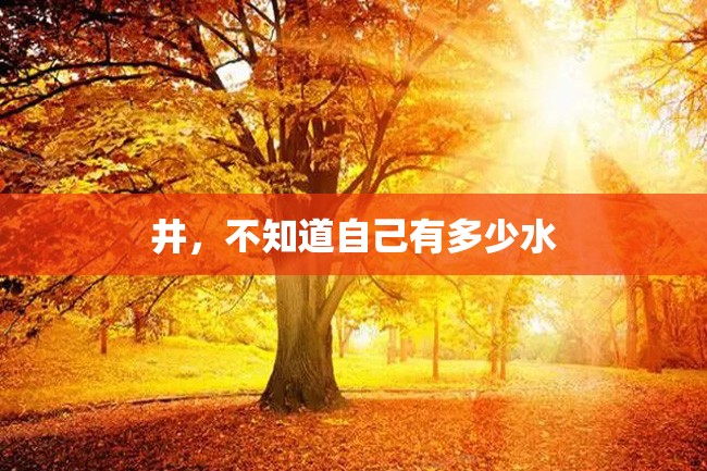井,不知道自己有多少水