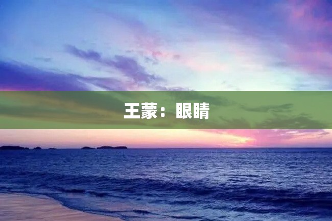 王蒙:眼睛