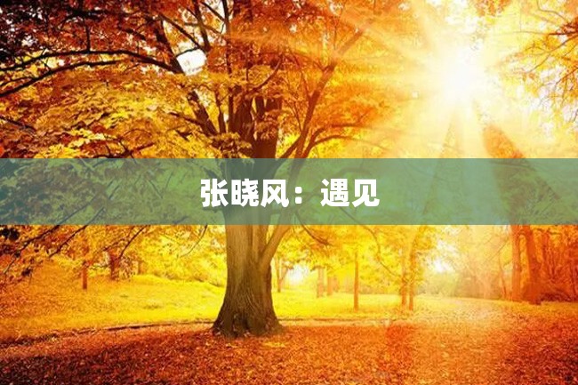 张晓风:遇见
