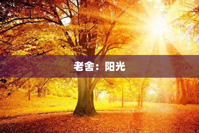 老舍:阳光