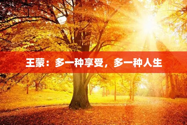 王蒙:多一种享受,多一种人生