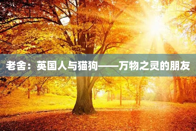 老舍:英国人与猫狗——万物之灵的朋友