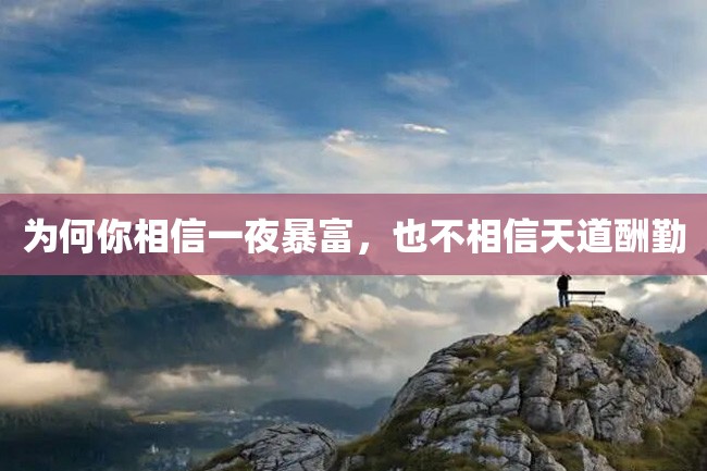为何你相信一夜暴富,也不相信天道酬勤