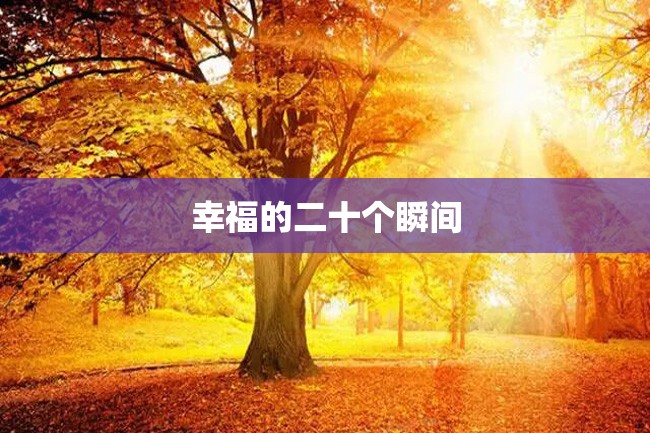 幸福的二十个瞬间