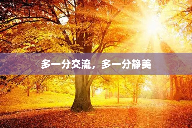 多一分交流,多一分静美
