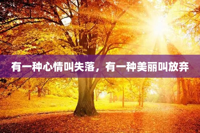 有一种心情叫失落,有一种美丽叫放弃