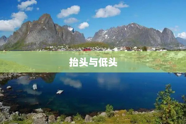 抬头与低头