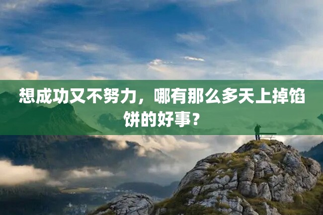 想成功又不努力，哪有那么多天上掉馅饼的好事？