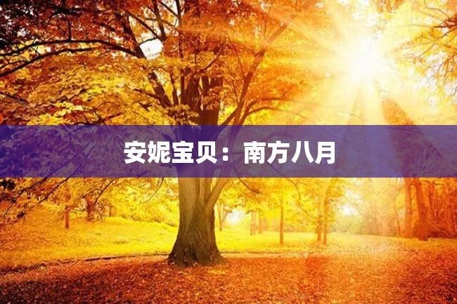 安妮宝贝:南方八月