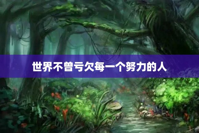 世界不曾亏欠每一个努力的人