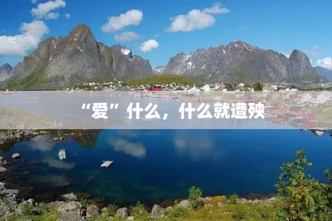 “爱”什么,什么就遭殃
