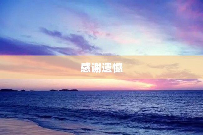 感谢遗憾