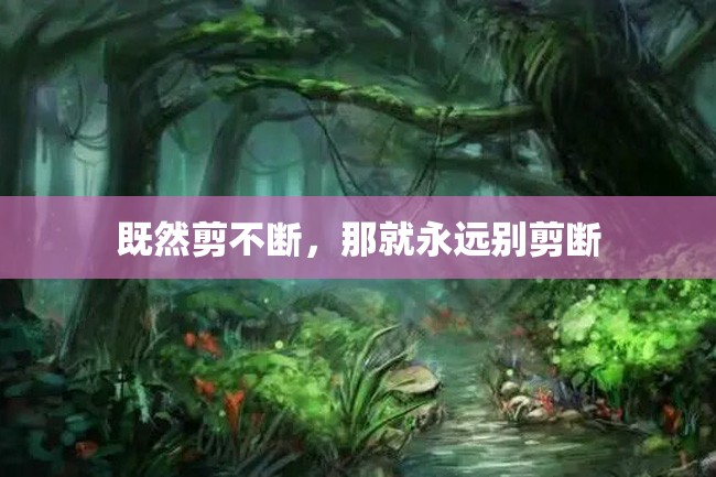 既然剪不断,那就永远别剪断