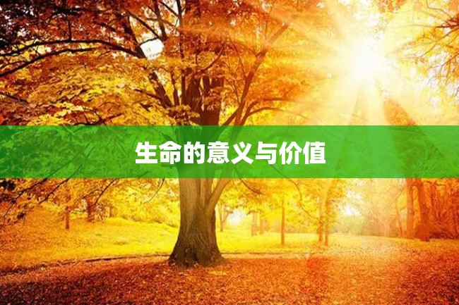生命的意义与价值