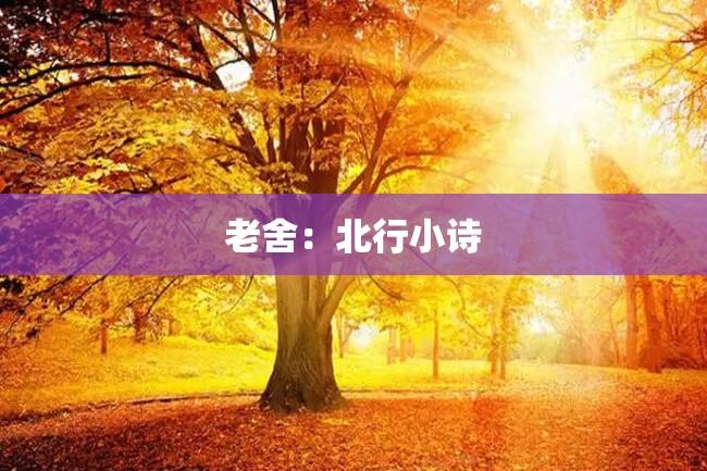 老舍:北行小诗