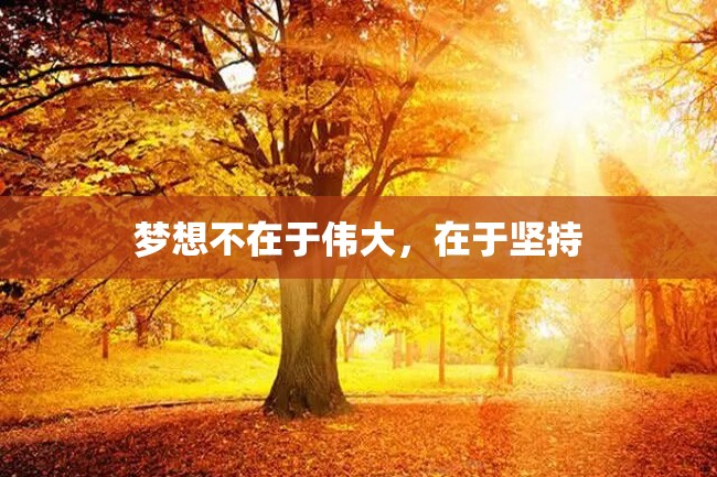 梦想不在于伟大,在于坚持