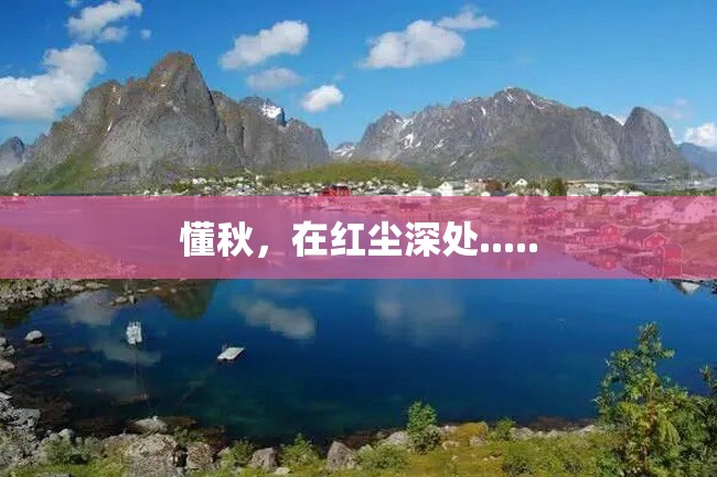 懂秋,在红尘深处.....