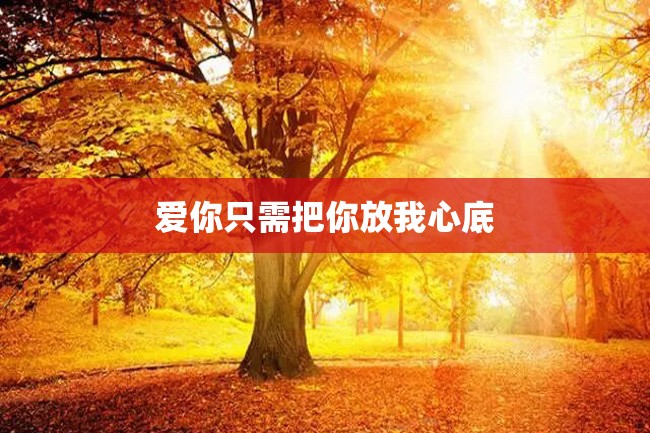 爱你只需把你放我心底