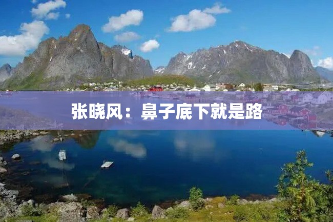 张晓风:鼻子底下就是路