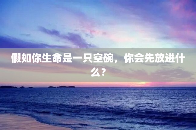 假如你生命是一只空碗,你会先放进什么?