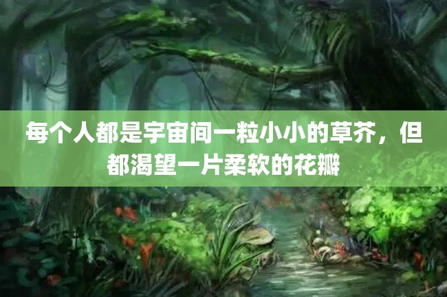 每个人都是宇宙间一粒小小的草芥,但都渴望一片柔软的花瓣