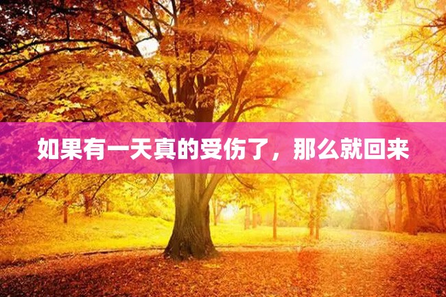 如果有一天真的受伤了,那么就回来