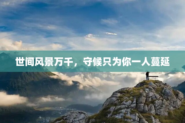 世间风景万千,守候只为你一人蔓延