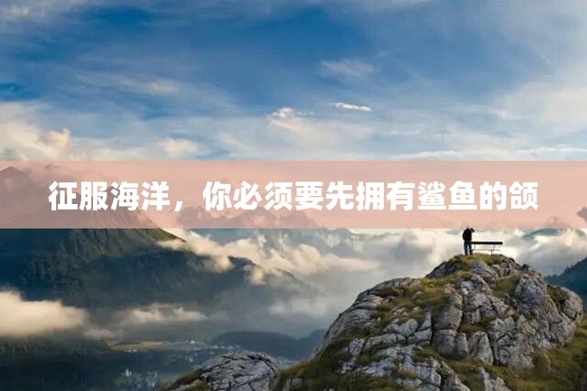 征服海洋,你必须要先拥有鲨鱼的颌