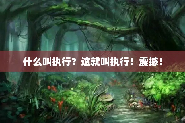 什么叫执行?这就叫执行!震撼!