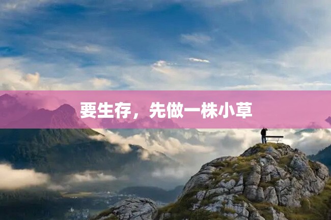 要生存,先做一株小草