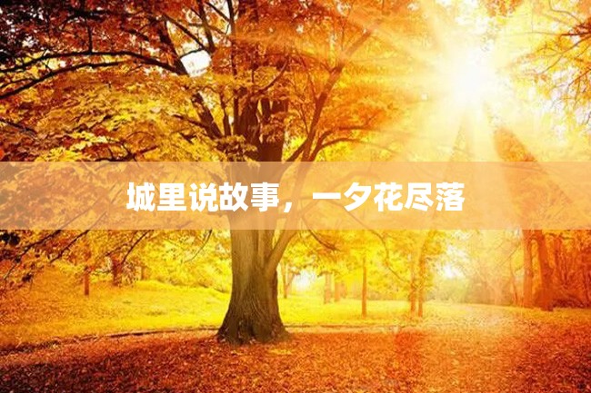 城里说故事,一夕花尽落