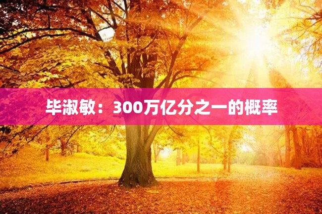 毕淑敏：300万亿分之一的概率
