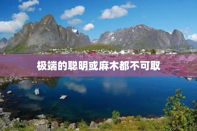 极端的聪明或麻木都不可取