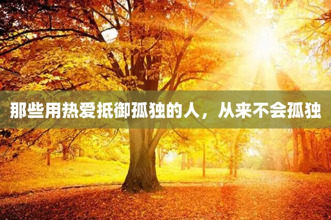 那些用热爱抵御孤独的人,从来不会孤独