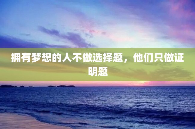 拥有梦想的人不做选择题,他们只做证明题