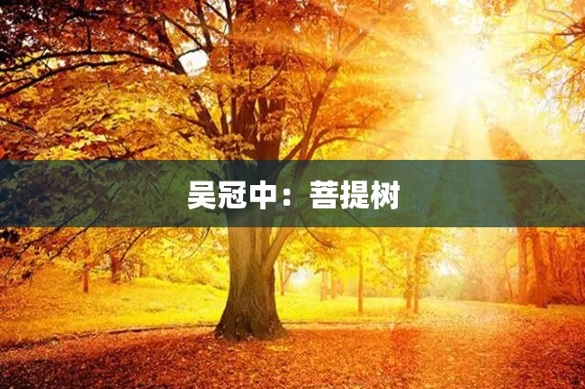 吴冠中:菩提树