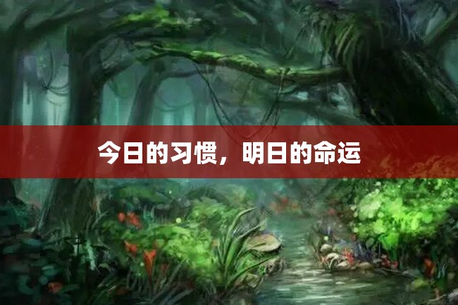 今日的习惯,明日的命运