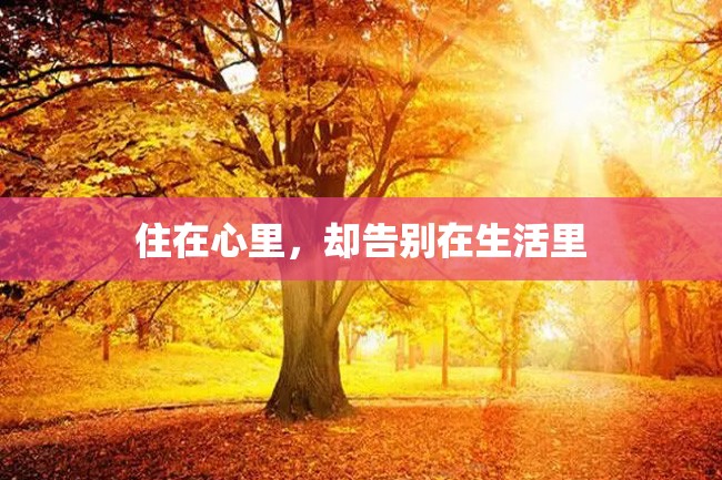 住在心里,却告别在生活里