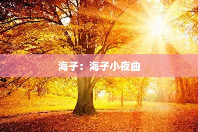 海子:海子小夜曲