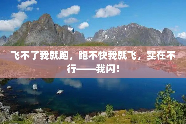 飞不了我就跑,跑不快我就飞,实在不行——我闪!