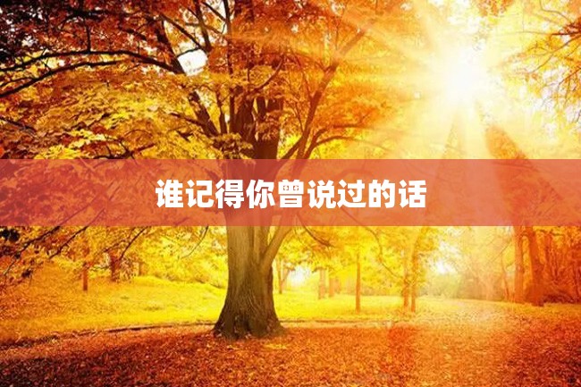 谁记得你曾说过的话