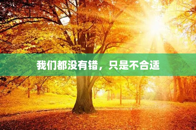 我们都没有错,只是不合适