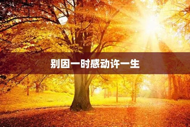 别因一时感动许一生