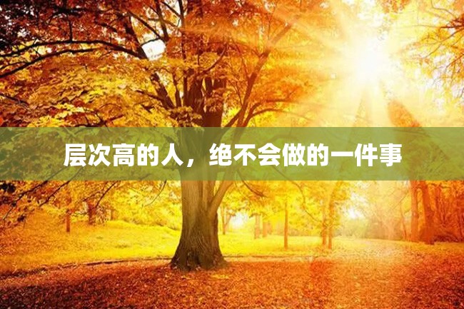 层次高的人,绝不会做的一件事