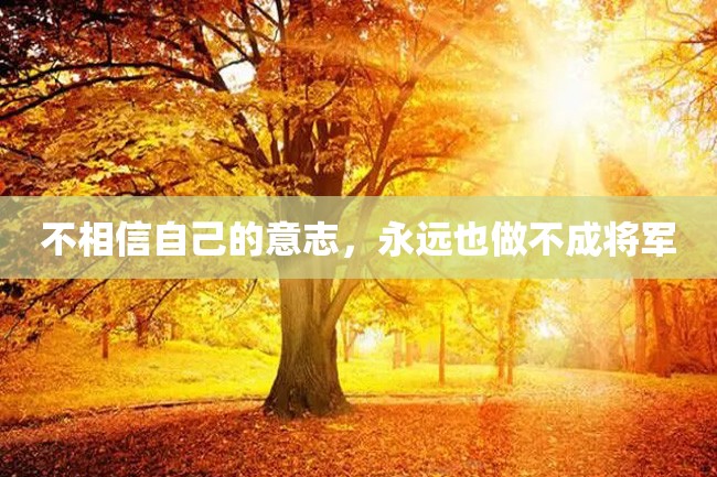 不相信自己的意志,永远也做不成将军