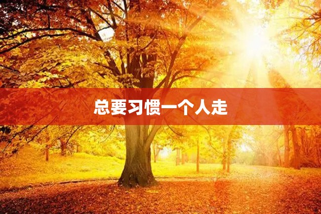 总要习惯一个人走